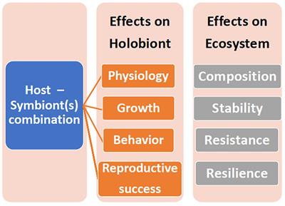Conceptualization of the Holobiont Paradigm as It Pertains to Corals
